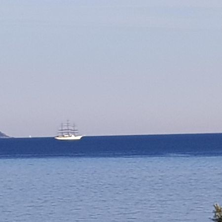 Vieille Ville D Ajaccio De 1 A 4 Pers A 300M Du Port Et A 15 Mn De Laeroport Proches De Plus Belles Plages Et Ttes Commodites A Proximite Bagian luar foto