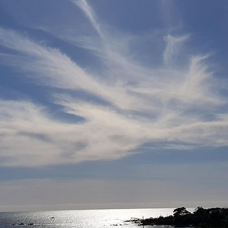 Vieille Ville D Ajaccio De 1 A 4 Pers A 300M Du Port Et A 15 Mn De Laeroport Proches De Plus Belles Plages Et Ttes Commodites A Proximite Bagian luar foto